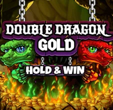 Slot Double Dragon Gold Hold & Win